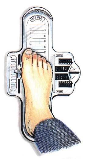 Foot Measuring Tool
